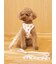 【CAT&DOG】背中あきハーネス