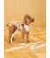 【CAT&DOG】背中あきハーネス
