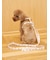 【CAT&DOG】背中あきハーネス