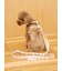 【CAT&DOG】背中あきハーネス
