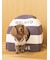 【CAT&DOG】【販路限定商品】ベビモコハウス