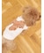 【CAT&DOG】スムーズィートイプードル柄ジャガードプルオーバー