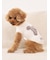 【CAT&DOG】スムーズィートイプードル柄ジャガードプルオーバー
