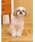 【CAT&DOG】ベビモコXLサイズネッププルオーバー