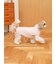 【CAT&DOG】ベビモコXLサイズネッププルオーバー
