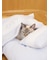 【CAT&DOG】ベビモコおふとんセットL