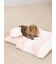【CAT&DOG】ベビモコおふとんセットL