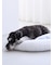 【CAT&DOG】ベビモコベッドL