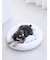 【CAT&DOG】ベビモコベッドL