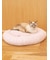 【CAT&DOG】ベビモコベッドM