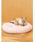 【CAT&DOG】ベビモコベッドM