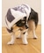【CAT&DOG】スムーズィー２ボーダーフーディー