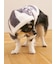 【CAT&DOG】スムーズィー２ボーダーフーディー