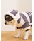 【CAT&DOG】スムーズィー２ボーダーフーディー