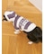 【CAT&DOG】スムーズィー２ボーダーフーディー