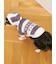 【CAT&DOG】スムーズィー２ボーダーフーディー