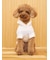 【CAT&DOG】スムーズィー２ボーダーフーディー