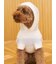 【CAT&DOG】スムーズィー２ボーダーフーディー