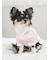 【CAT&DOG】スムーズィー２ボーダーフーディー