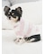 【CAT&DOG】スムーズィー２ボーダーフーディー