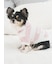 【CAT&DOG】スムーズィー２ボーダーフーディー
