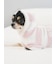 【CAT&DOG】スムーズィー２ボーダーフーディー