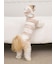 【CAT&DOG】スムーズィー２ボーダーフーディー