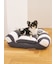 【CAT&DOG】ジェラートソファ型ベッドM