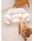 【CAT&DOG】ジェラートソファ型ベッドM