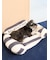【CAT&DOG】ジェラートソファ型ベッドL