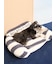 【CAT&DOG】ジェラートソファ型ベッドL