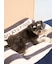 【CAT&DOG】ジェラートソファ型ベッドL