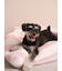 【CAT&DOG】ジェラートソファ型ベッドL