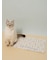 【CAT&DOG】サマーモチーフ柄Coolingジェルマット