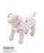【PEANUTS】【CAT&DOG】【接触冷感】Coolingプルオーバー