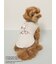 【PEANUTS】【CAT&DOG】【接触冷感】Coolingプルオーバー