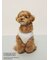 【PEANUTS】【CAT&DOG】【接触冷感】Coolingプルオーバー