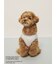 【PEANUTS】【CAT&DOG】【接触冷感】Coolingプルオーバー