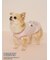 【PEANUTS】【CAT&DOG】【接触冷感】Coolingプルオーバー