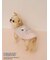 【PEANUTS】【CAT&DOG】【接触冷感】Coolingプルオーバー