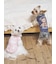 【CAT&DOG】マルチーズ柄カットソープルオーバー