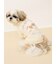 【CAT&DOG】お散歩ドッグ裏毛プルオーバー