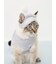 【CAT&DOG】スムーズィービーニー