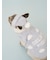 【CAT&DOG】スムーズィービーニー