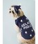 【CAT&DOG】スムーズィービーニー