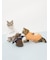 【HALLOWEEN】【CAT&DOG】パンプキンプルオーバー
