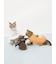 【HALLOWEEN】【CAT&DOG】パンプキンプルオーバー