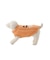 【HALLOWEEN】【CAT&DOG】パンプキンプルオーバー