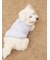 【CAT&DOG】ラージサイズ中綿ベスト