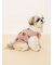【CAT&DOG】ベア柄カットソープルオーバー